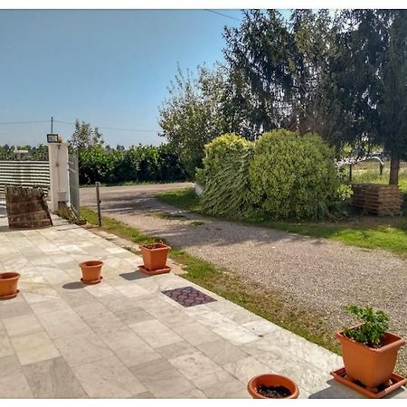 Elizabeth B&B Lentigione Kültér fotó
