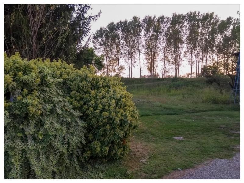 Elizabeth B&B Lentigione Kültér fotó